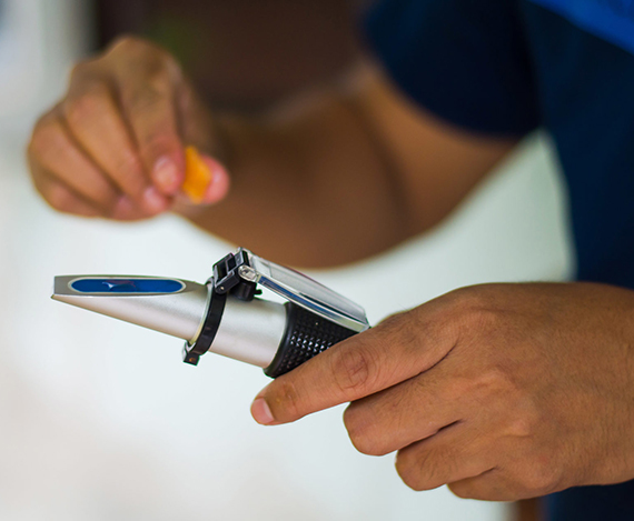 利来w66(中国区)_来利国际旗舰厅